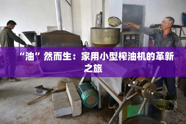 “油”然而生：家用小型榨油机的革新之旅