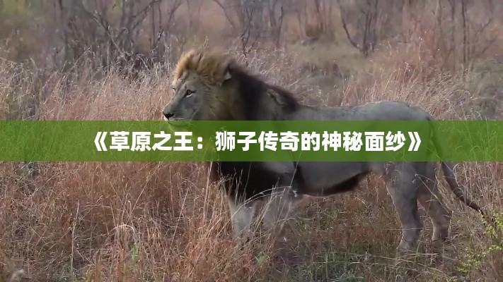 物以稀为贵 第2页