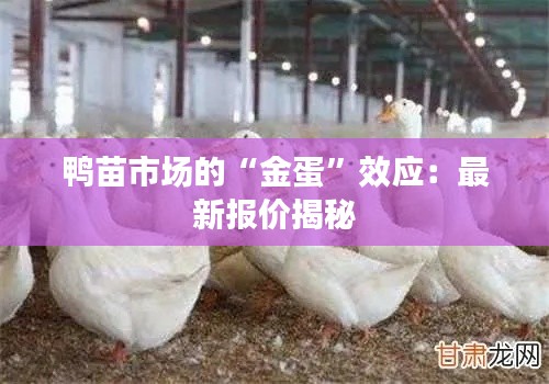鸭苗市场的“金蛋”效应:最新报价揭秘