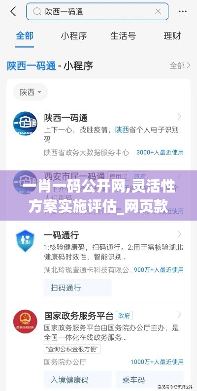 一肖一码公开网,灵活性方案实施评估_网页款7.777