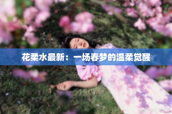 合作流程 第266页