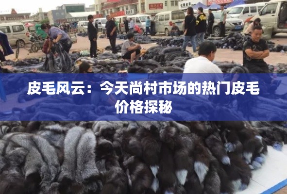 皮毛风云：今天尚村市场的热门皮毛价格探秘
