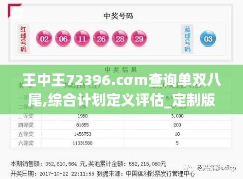 王中王72396.cσm查询单双八尾,综合计划定义评估_定制版2.821