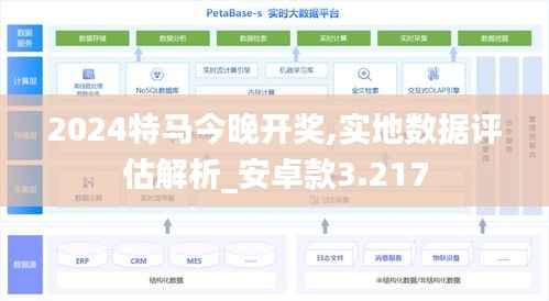 2024特马今晚开奖,实地数据评估解析_安卓款3.217