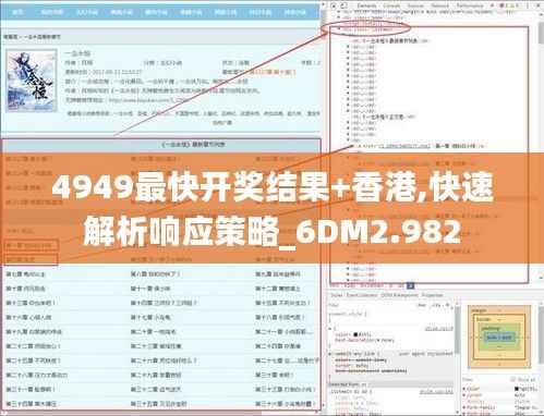 4949最快开奖结果+香港,快速解析响应策略_6DM2.982