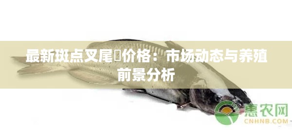最新斑点叉尾鮰价格:市场动态与养殖前景分析