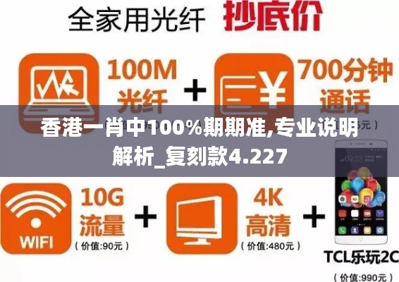 香港一肖中100%期期准,专业说明解析_复刻款4.227