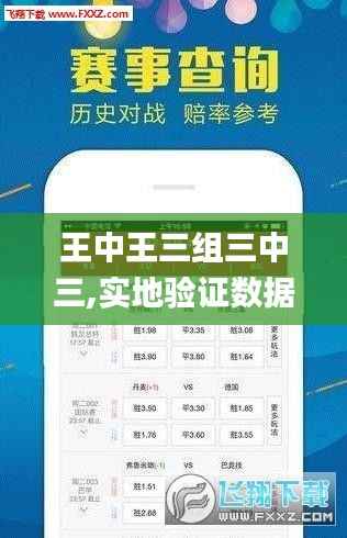 王中王三组三中三,实地验证数据设计_Advanced5.170