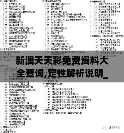 新澳天天彩免费资料大全查询,定性解析说明_10DM6.178