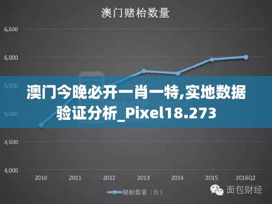 澳门今晚必开一肖一特,实地数据验证分析_Pixel18.273