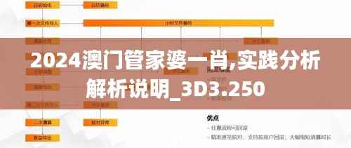 2024澳门管家婆一肖,实践分析解析说明_3D3.250