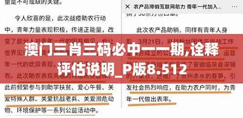 澳门三肖三码必中一一期,诠释评估说明_P版8.512