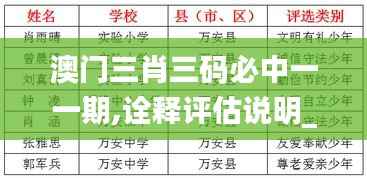 澳门三肖三码必中一一期,诠释评估说明_P版8.512