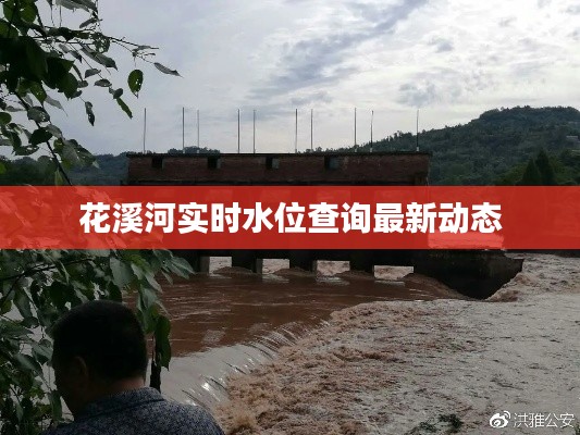 花溪河实时水位查询最新动态