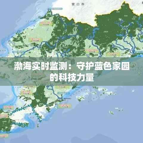 渤海实时监测：守护蓝色家园的科技力量