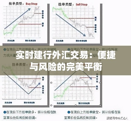 尊道贵德 第3页