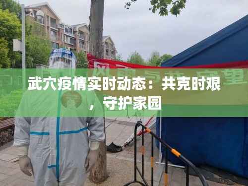 武穴疫情实时动态：共克时艰，守护家园
