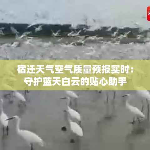 宿迁天气空气质量预报实时:守护蓝天白云的贴心助手