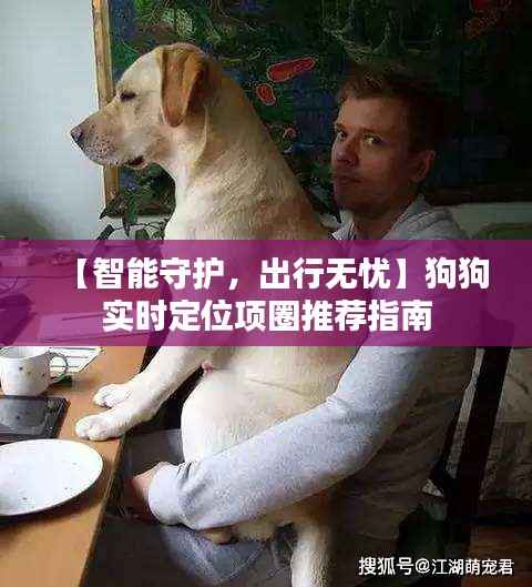 【智能守护，出行无忧】狗狗实时定位项圈推荐指南