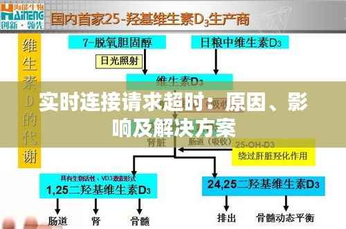 实时连接请求超时：原因、影响及解决方案