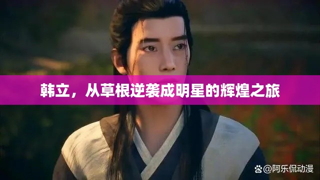 韩立，从草根逆袭成明星的辉煌之旅