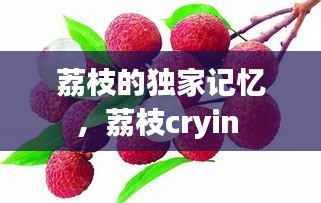 荔枝的独家记忆,荔枝cryin