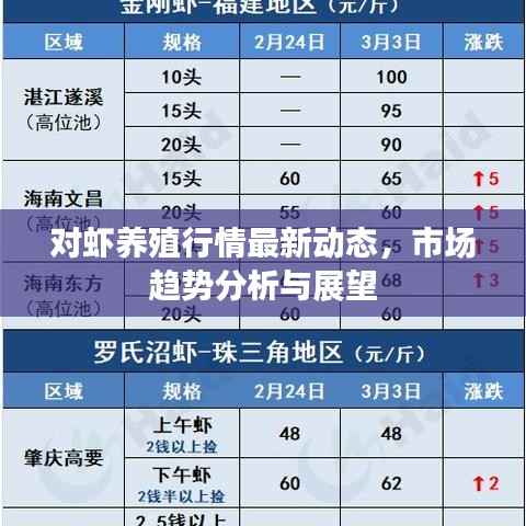 对虾养殖行情最新动态，市场趋势分析与展望