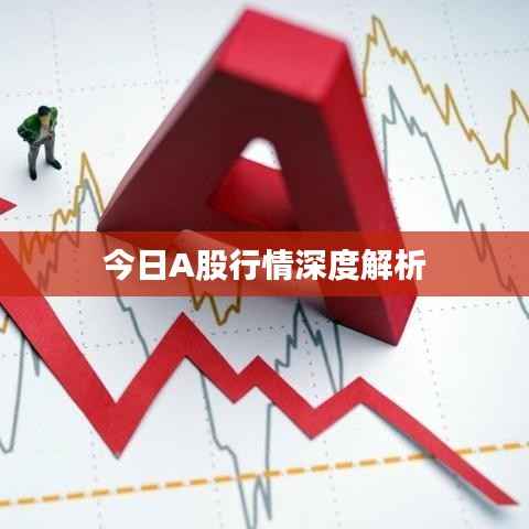 今日A股行情深度解析