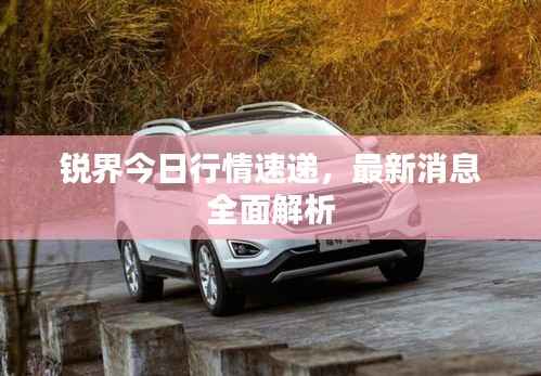 草率收兵 第3页