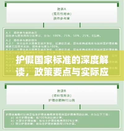 护假国家标准的深度解读，政策要点与实际应用