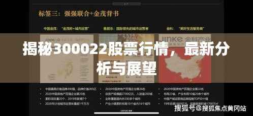 揭秘300022股票行情，最新分析与展望