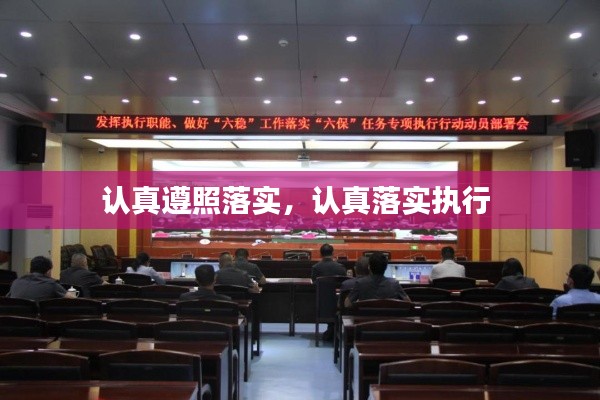 认真遵照落实，认真落实执行 