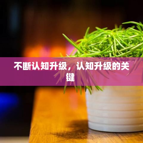 不断认知升级,认知升级的关键