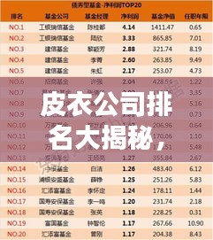 皮衣公司排名大揭秘,权威榜单,选购指南!