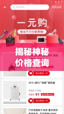 揭秘神秘价格查询器，购物省钱利器，消费透明无忧！