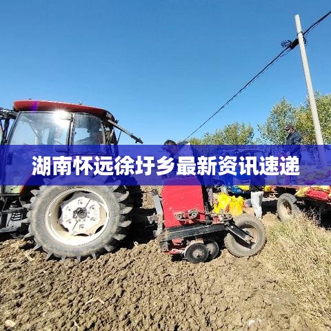 湖南怀远徐圩乡最新资讯速递