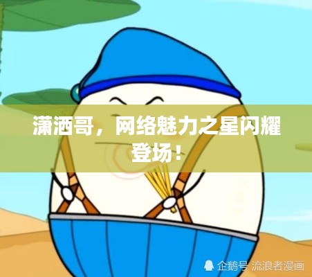 潇洒哥，网络魅力之星闪耀登场！