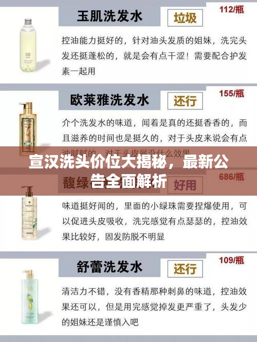 倦鸟思归 第3页