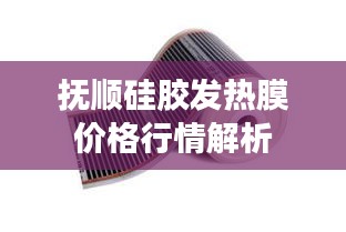 抚顺硅胶发热膜价格行情解析