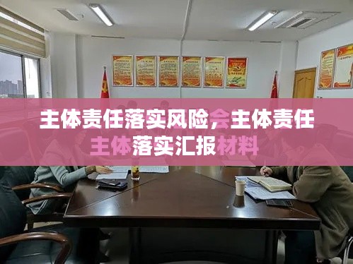 主体责任落实风险,主体责任落实汇报