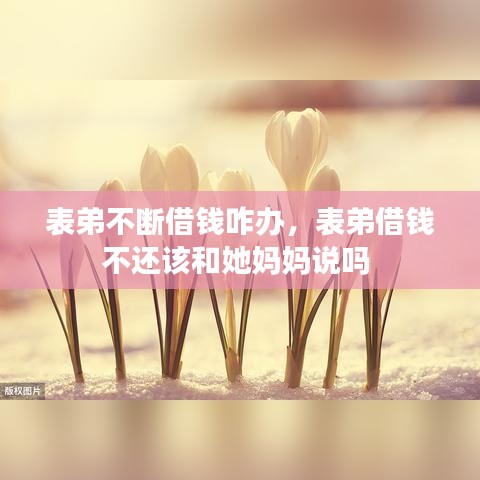 表弟不断借钱咋办，表弟借钱不还该和她妈妈说吗 