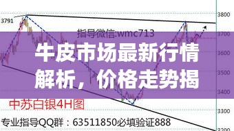 牛皮市场最新行情解析，价格走势揭秘，一张牛皮究竟多少钱？
