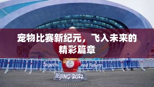 宠物比赛新纪元,飞入未来的精彩篇章