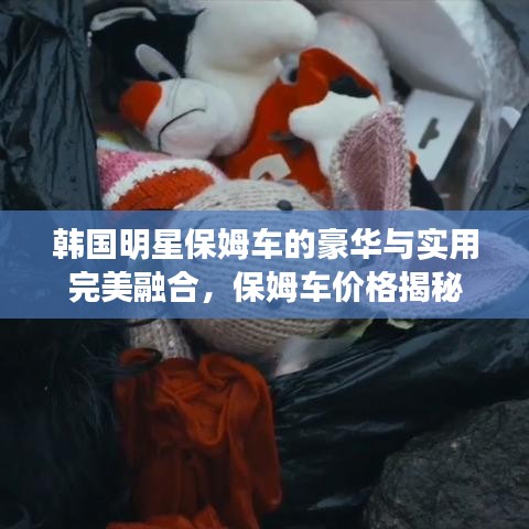 韩国明星保姆车的豪华与实用完美融合,保姆车价格揭秘
